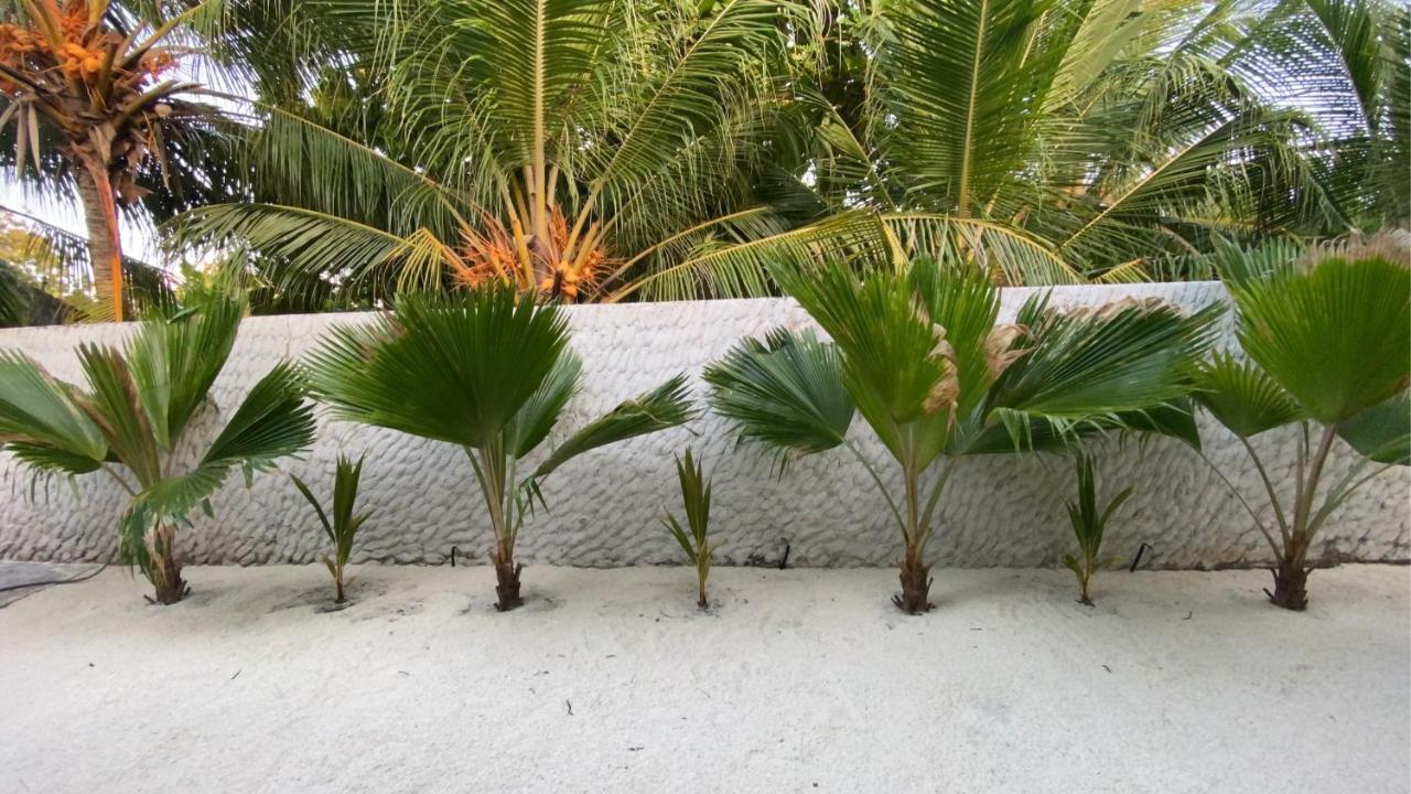 Oasis Village Fenfushi, Maldives エクステリア 写真