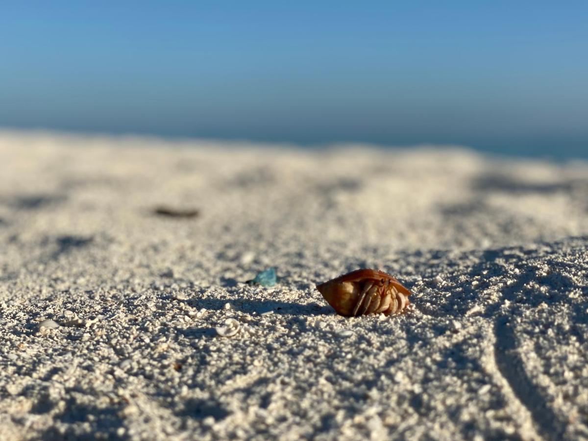 Oasis Village Fenfushi, Maldives エクステリア 写真