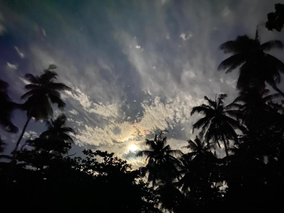 Oasis Village Fenfushi, Maldives エクステリア 写真