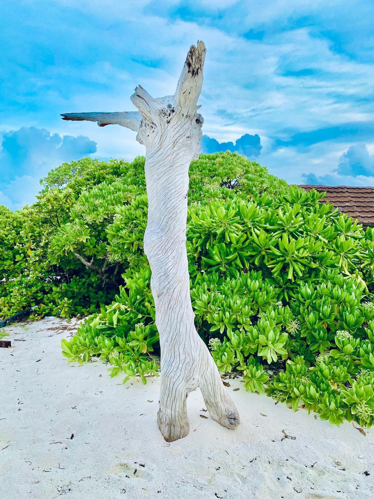 Oasis Village Fenfushi, Maldives エクステリア 写真