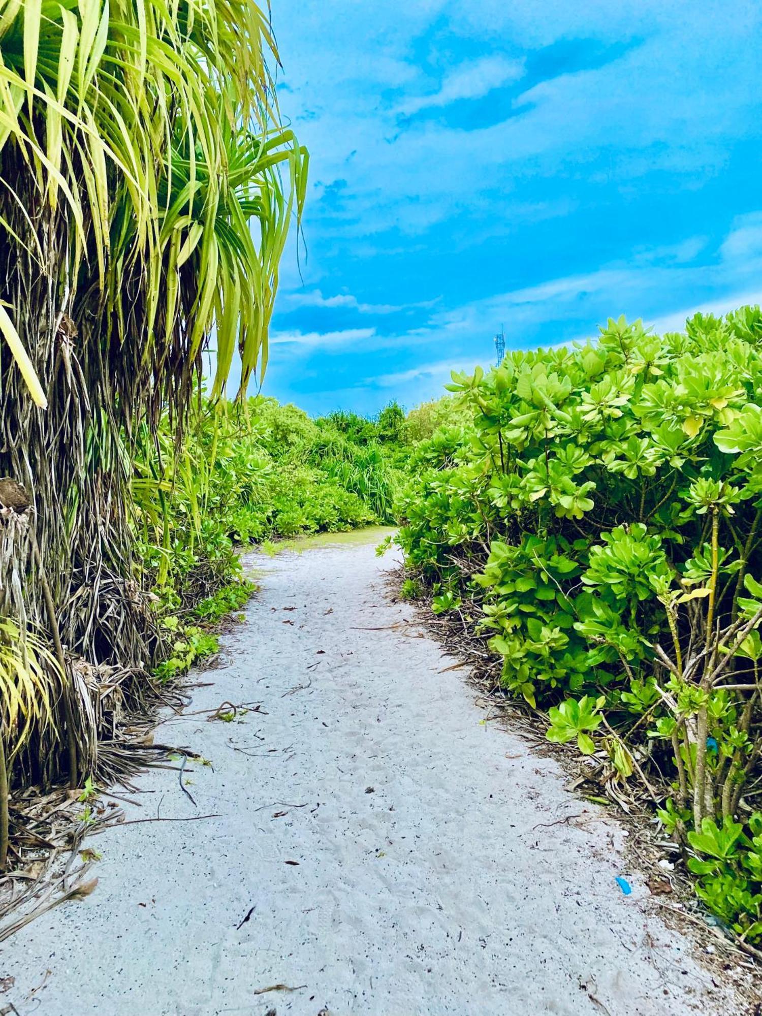 Oasis Village Fenfushi, Maldives エクステリア 写真